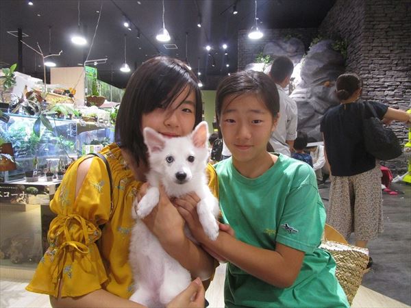 写真