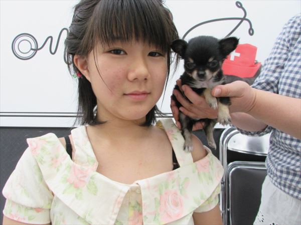 写真