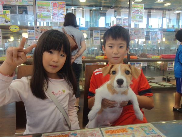 写真