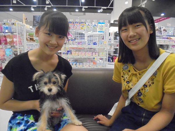 写真