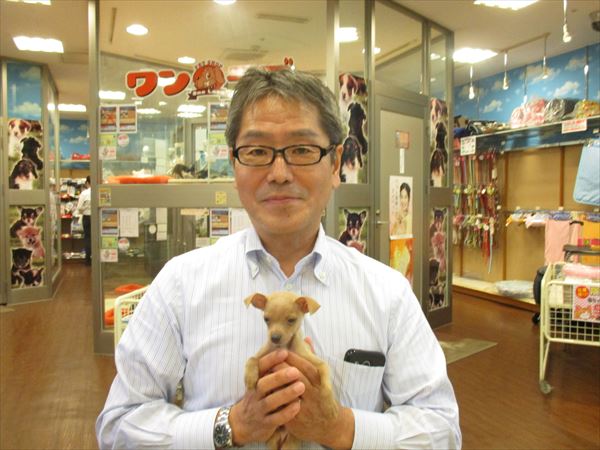 写真