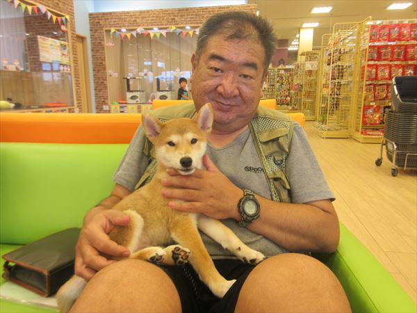 写真