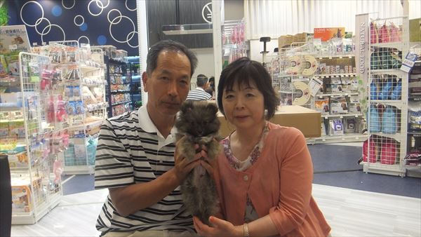写真