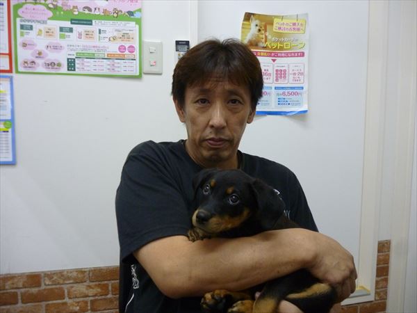 写真