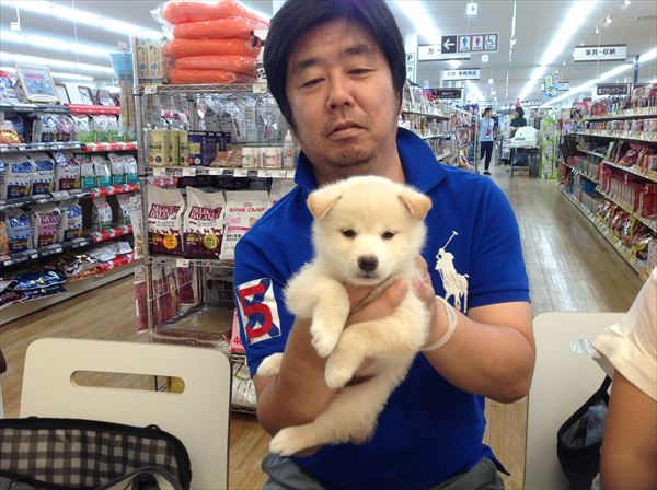 写真