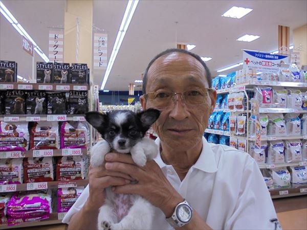 写真