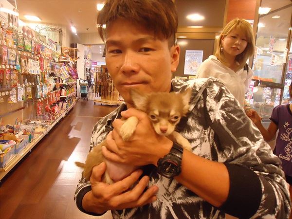 写真