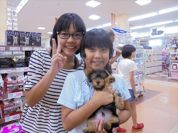 写真