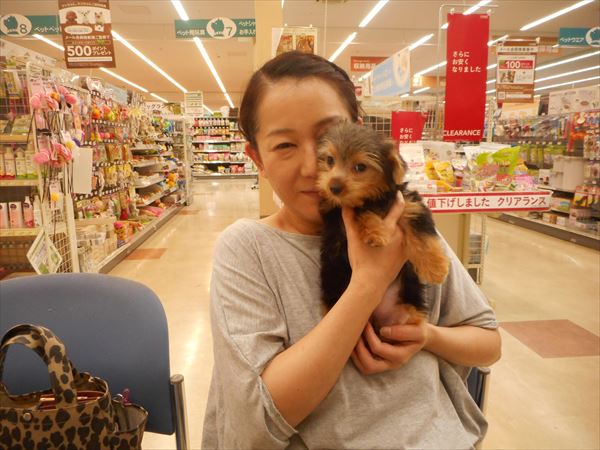 写真