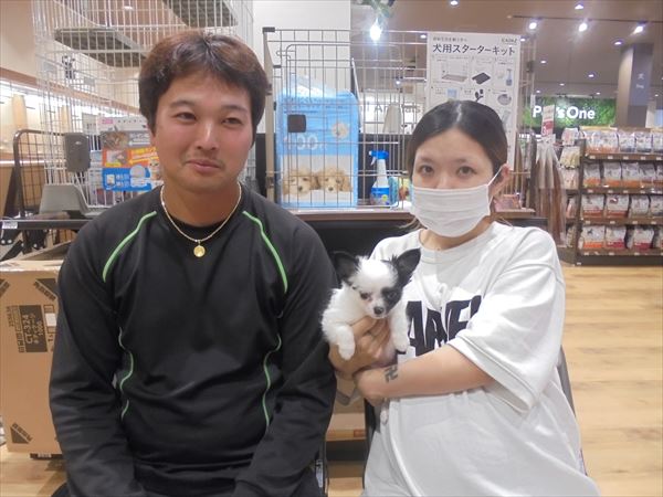 写真