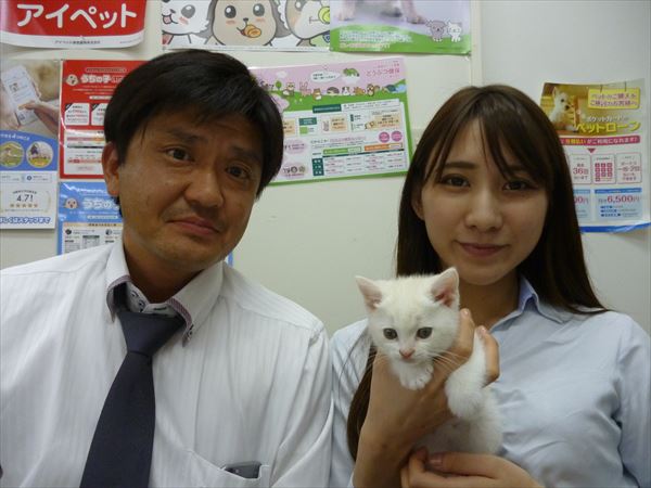 写真