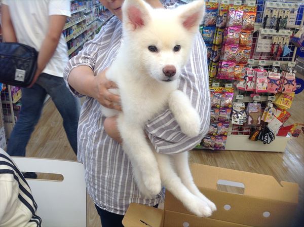 写真