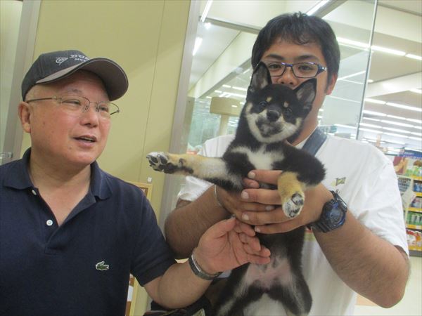 写真