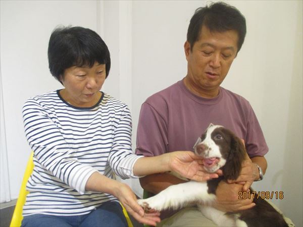 写真