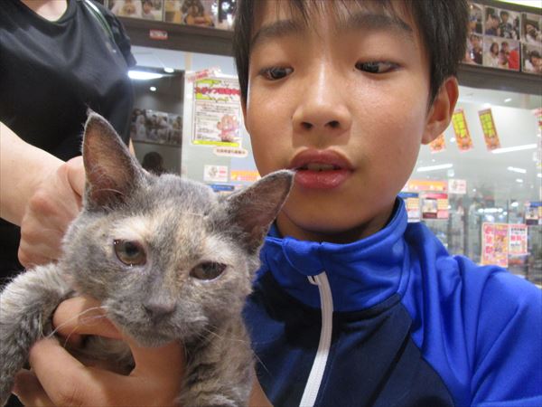 写真