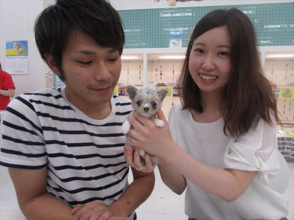 写真