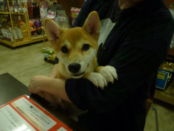 写真