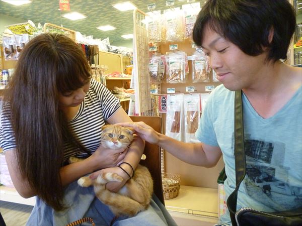 写真