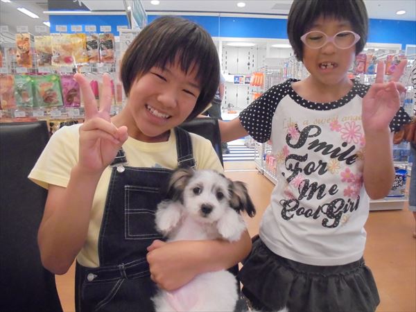 写真