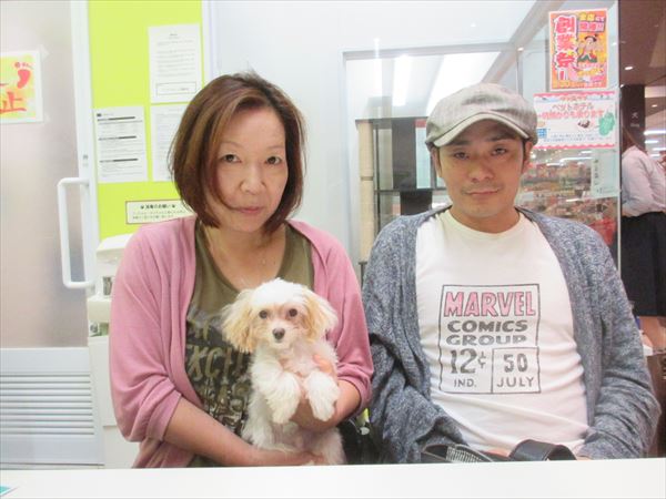 写真