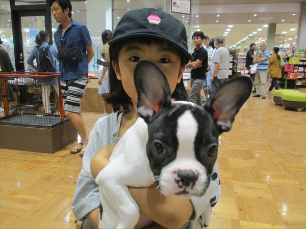 写真