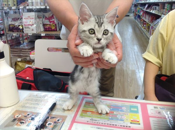 写真