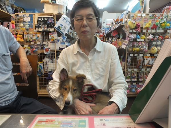 写真