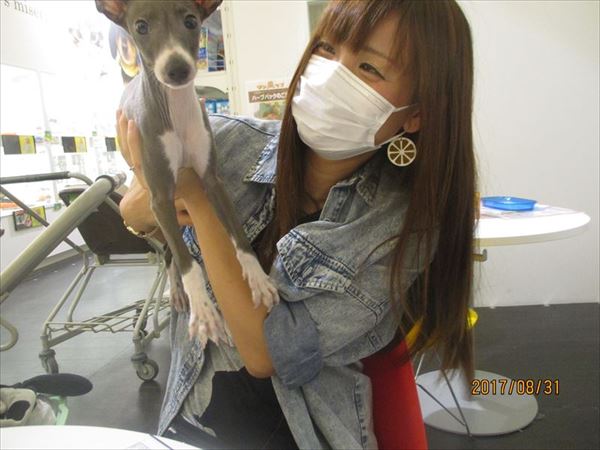 写真