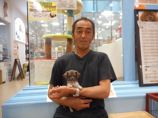 写真