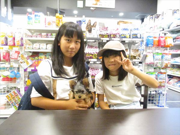 写真
