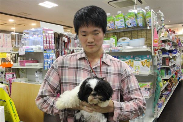 写真