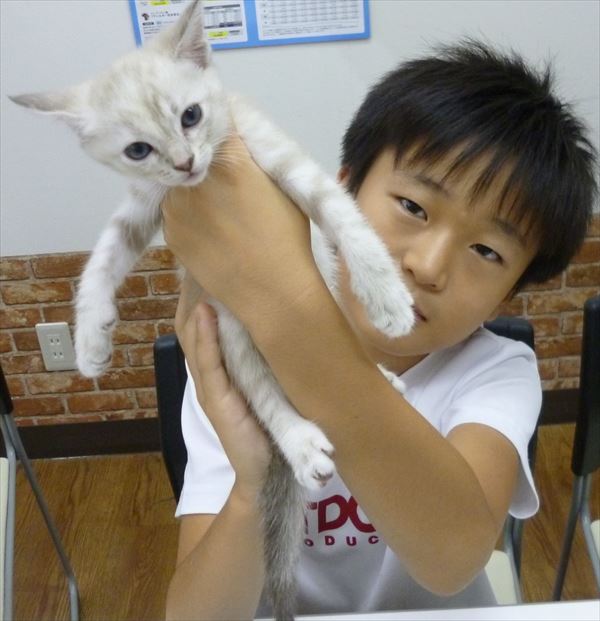 写真