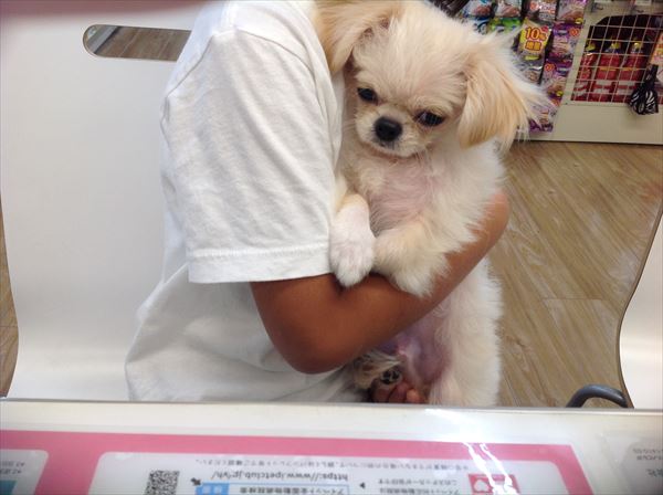写真