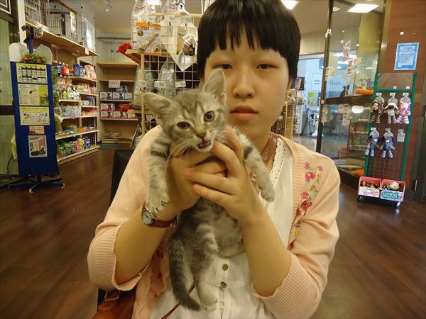 写真