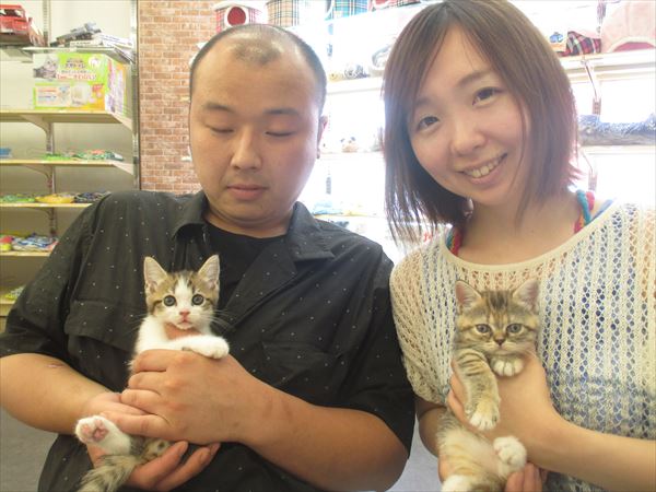 写真
