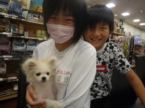 写真
