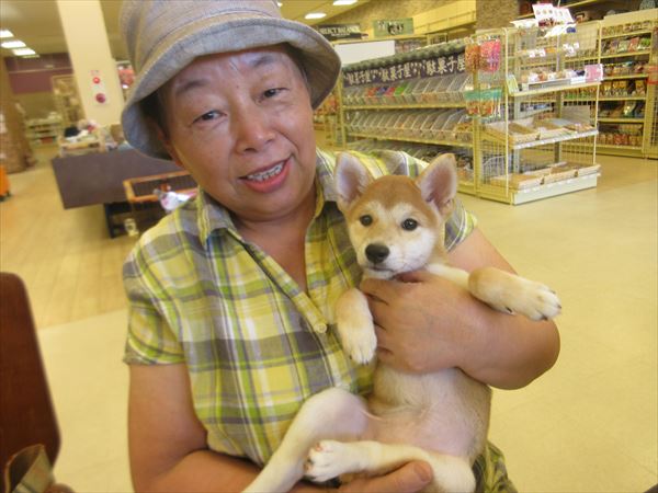 写真