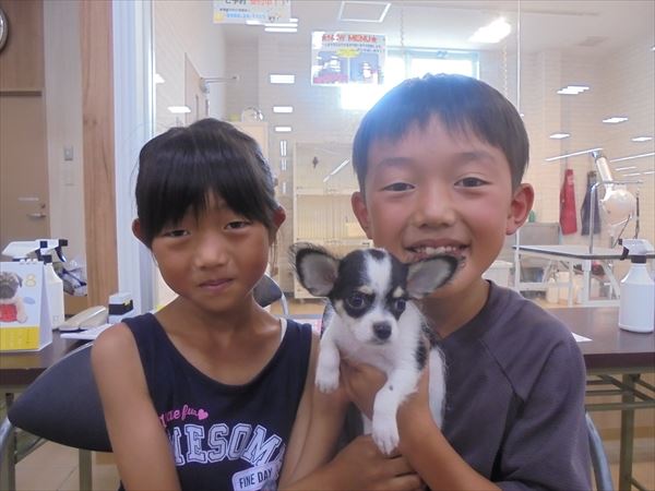 写真
