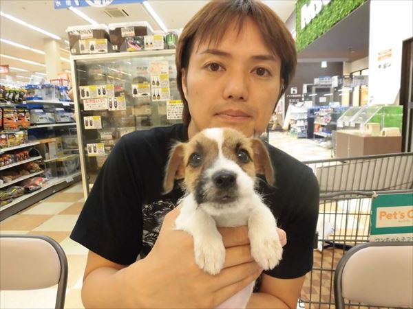 写真