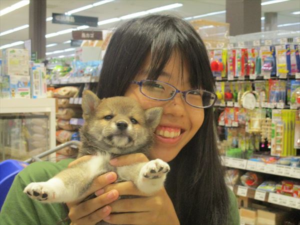 写真