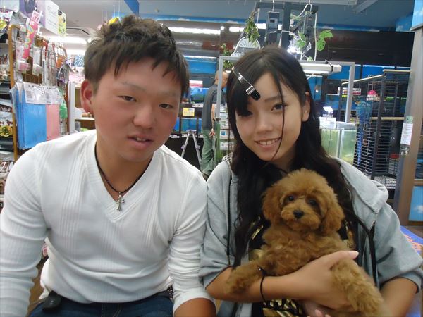 写真