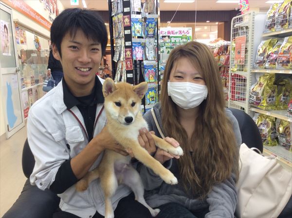 写真