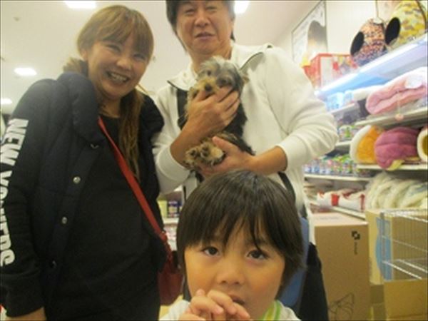 写真