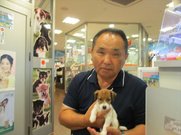 写真