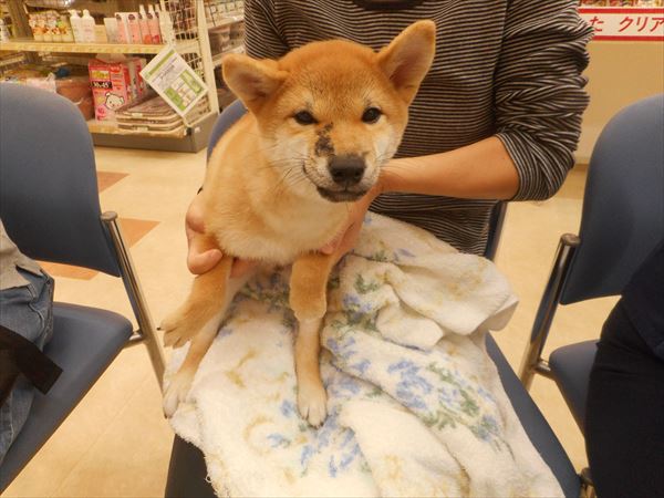 写真