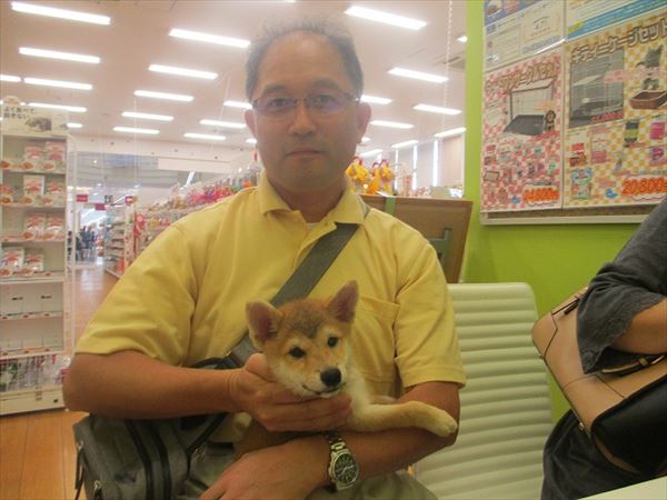 写真