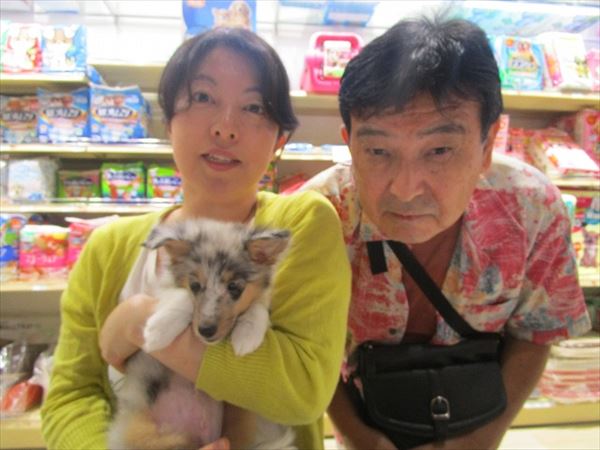 写真