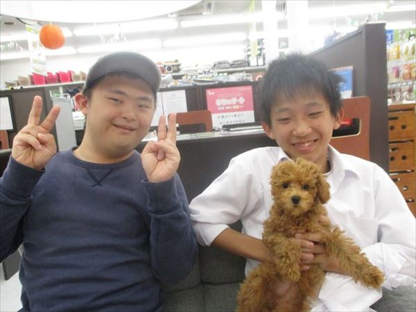 写真