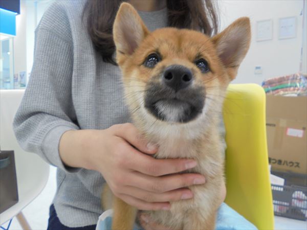 写真