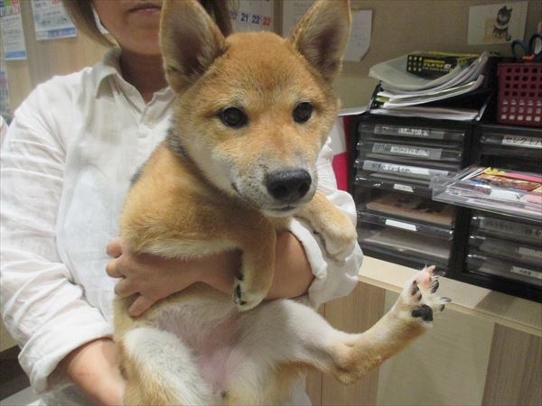 写真